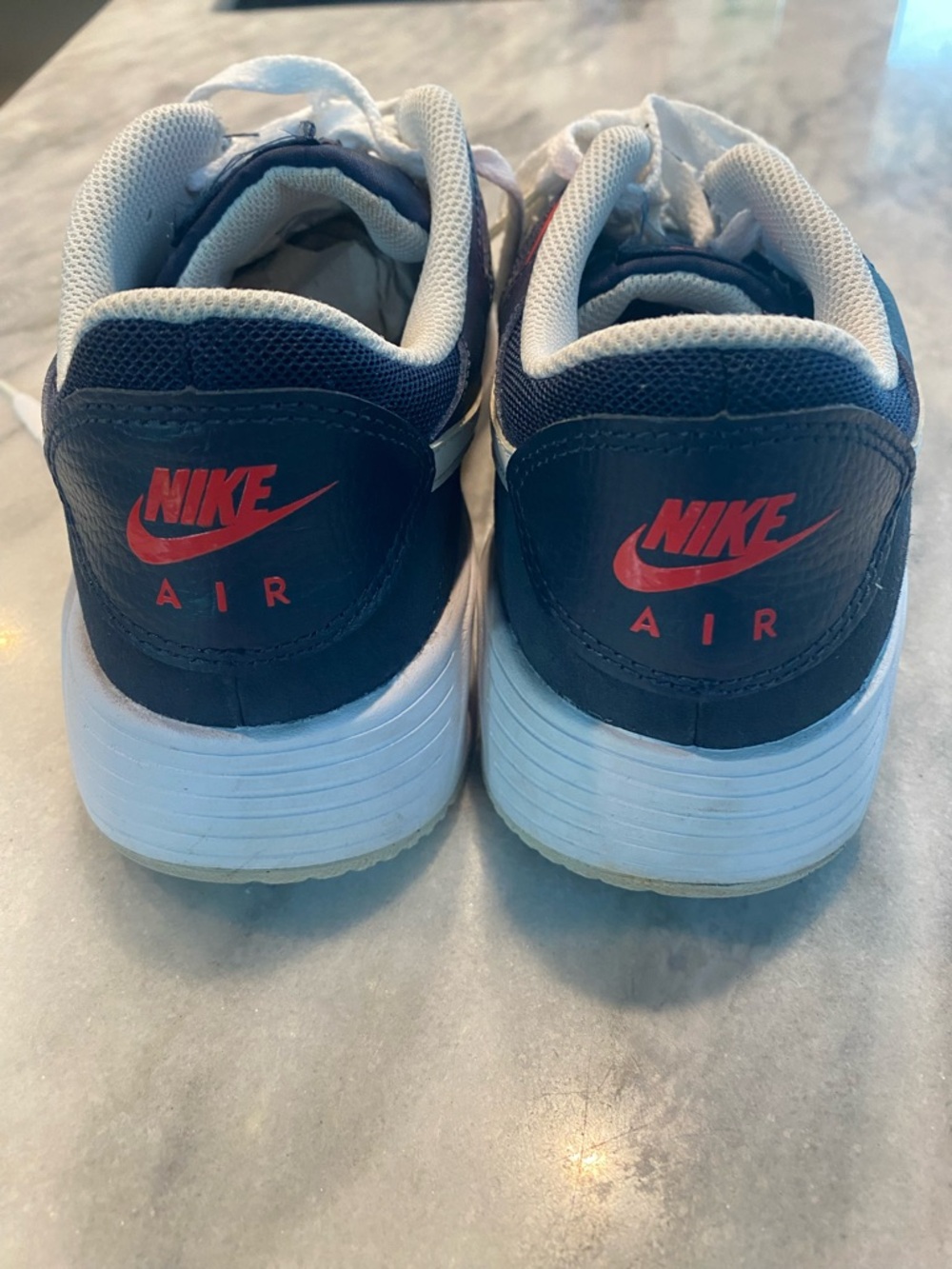 Nike Navy and White Sneakers with Red Logo